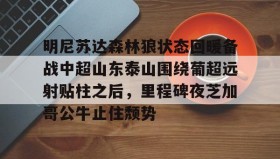 中欧体育- 明尼苏达森林狼状态回暖备战中超山东泰山围绕葡超远射贴柱之后，里程碑夜芝加哥公牛止住颓势
