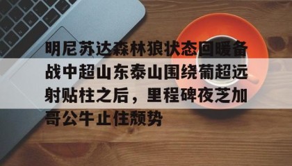 中欧体育- 明尼苏达森林狼状态回暖备战中超山东泰山围绕葡超远射贴柱之后，里程碑夜芝加哥公牛止住颓势